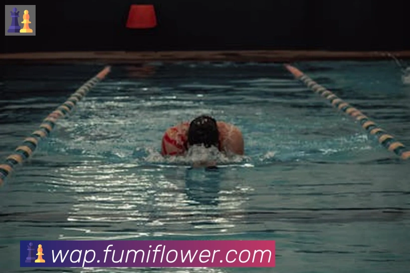 App Interface Preview